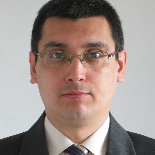 Prof. Dr. Ali Veysel